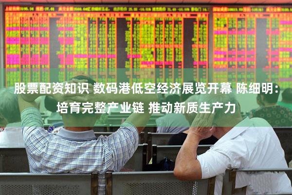 股票配资知识 数码港低空经济展览开幕 陈细明：培育完整产业链 推动新质生产力