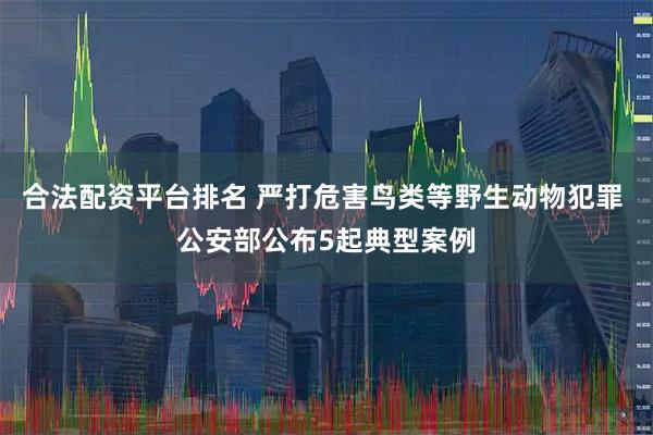 合法配资平台排名 严打危害鸟类等野生动物犯罪 公安部公布5起典型案例